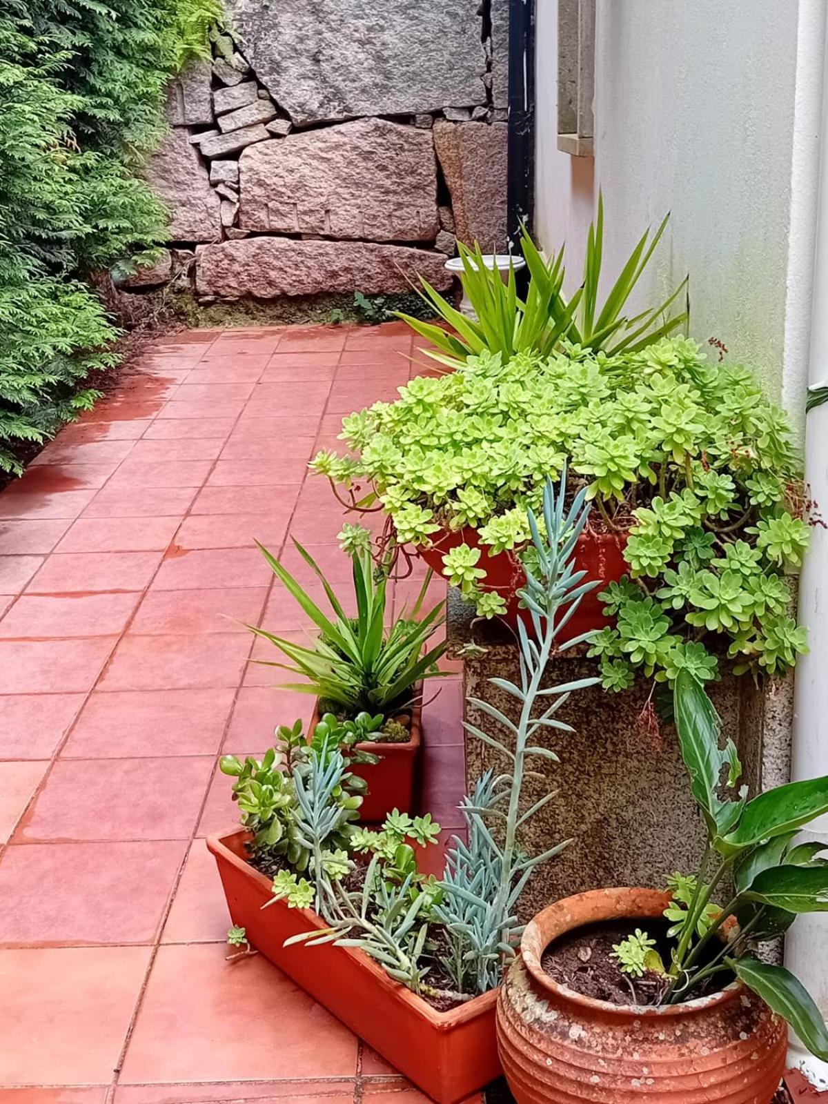 Vivienda Con Jardin Terraza Y Barbacoa Villa Picona Eksteriør bilde