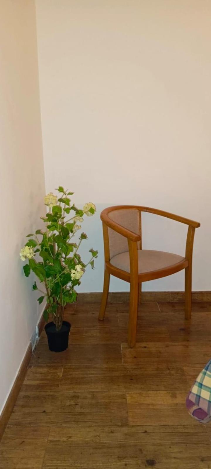 Vivienda Con Jardin Terraza Y Barbacoa Villa Picona Eksteriør bilde